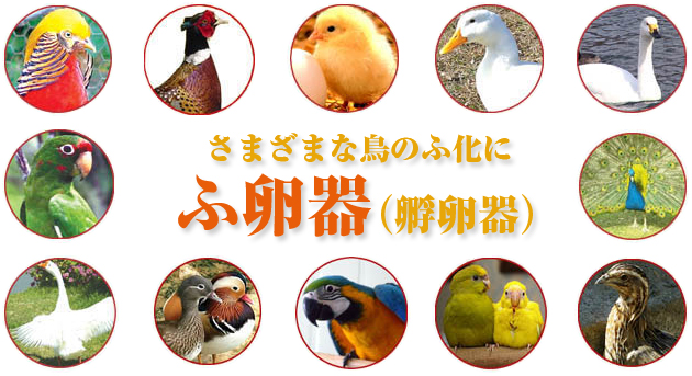 孵卵器（ふ卵器）の販売